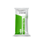 Salsa MayoMostaza Sachet